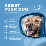 Load image into Gallery viewer, Dog Calming with Melatonin Chamomile Extract Valerian Root Travel Pack 70 Chews Anxiety Support Chews for Vet Visits Grooming Nail Trimming Storms