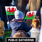 Load image into Gallery viewer, G128 12 Pack Handheld Wales Welsh Stick Flags 12x18 In Printed 150D Polyester, Country Flag, Solid Wooden Stick, Spear Gold Tip