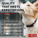 Load image into Gallery viewer, Black Rolled Leather Dog Collar Padded All Sizes 13–16 in Neck
