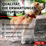 Load image into Gallery viewer, Waterproof Dog Collar Adjustable All Sizes Metal Clasp & QR Tag Red