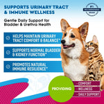 Load image into Gallery viewer, Cat Dog Urinary Tract Infection Treatment Natural UTI Medicine Cranberry 2 Pack 60 ml D Mannose Kidney Bladder Support Best for Incontinence Pet Renal Health & Care Drops