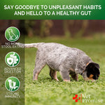 Load image into Gallery viewer, No Poo Chews for Dogs Advanced Coprophagia Stool Eating Deterrent for Dogs Stop Dog Poop Eating Probiotics & Digestive Enzymes Supplement Made in USA Vet Formulated 120 Soft Treats