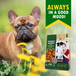 Load image into Gallery viewer, Peanut Butter Bones for Dogs Cranberry Rawhide-Free Chews