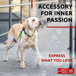 Load image into Gallery viewer, WAUDOG Nylon Dog Leash for Small Dogs and Medium Dogs 4 Ft Strong Dog Leash for Large Dogs Heavy Duty Dog Leashes for Large Breed Dogs & Puppy Leash for Small Boy & Girl Dogs