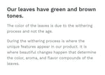 Load image into Gallery viewer, GUAYUSA EXTRA FINE BY PACHA 2 Pounds (32oz) Guayusa Tea Organic L Theanine Tea Organic Loose Green Tea Tea Leaves Loose Leaf Yerba Mate Substitute Te Mate and Coffee Alternative