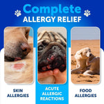 Load image into Gallery viewer, Dog Allergy Relief Chews Itchy Skin Relief Omega-3 Fish Oil