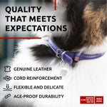 Load image into Gallery viewer, Purple Rolled Leather Dog Collar Padded All Sizes 21–24 in Neck