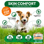 Load image into Gallery viewer, Dog Allergy Relief Chews 170 Count Itch Relief Omega-3 Fish Oil