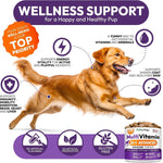Load image into Gallery viewer, Multivitamin Chews for Dogs 2-Pack
