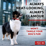 Load image into Gallery viewer, Ultra Soft Rolled Leather Dog Collar for Small Dogs Soft Padded Dog Collars for Medium Dogs Puppy Collars for Large Breed Dogs Male and Female Dog Collar