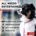 Load image into Gallery viewer, WAUDOG Ultra Soft Rolled Leather Dog Collar for Small Dogs Soft Padded Dog Collars for Medium Dogs Puppy Collars for Large Breed Dogs Male and Female Dog Collar