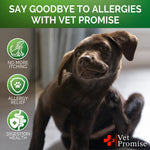 Load image into Gallery viewer, Dog Allergy Chews Itch Relief for Dogs Dog Allergy Relief Anti Itch for Dogs Dog Itchy Skin Treatment Dog Allergy Support Hot Spots Immune Health Supplement Made in USA 120 Treats