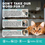 Load image into Gallery viewer, Cat Calming Treats 500 Crunchy Calming Cat Treats with Melatonin for Cats Valerian Root LTheanine Taurine & Probiotics Cat Vitamins and Supplements for Stress Anxiety Relief All Breeds