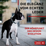 Load image into Gallery viewer, WAUDOG Long Lasting Leather Dog Collar for Large Dogs Medium & Small Dogs