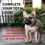 Load image into Gallery viewer, WAUDOG Recycled Cotton Dog Leash 6 Ft 10 Ft Eco Friendly Collar for Small Medium & Large Dogs Reflective Dog Leash for Medium Dogs Strong Leashes for Large Breed Dogs Puppy Leash for Small Dogs