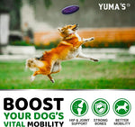 Load image into Gallery viewer, Glucosamine for Dogs 2-Pack Chondroitin Joint Pain Relief