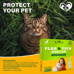 Load image into Gallery viewer, Natural Flea & Tick Collar for Cats 12 Months Control of Best Prevention & Safe Treatment Anti Fleas and Ticks Essential Oil Repellent (1 Count)