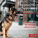 Load image into Gallery viewer, Black Long Lasting Leather Dog Collar Adjustable for Medium Dogs 12 - 15 inch Neck