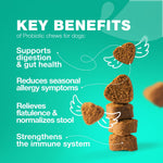 Load image into Gallery viewer, Probiotics for Dogs Digestive Enzymes Gut Health Pumpkin & Yeast Powder