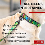 Load image into Gallery viewer, WAUDOG Nylon Dog Leash for Small Dogs and Medium Dogs 4 Ft Strong Dog Leash for Large Dogs Heavy Duty Dog Leashes for Large Breed Dogs & Puppy Leash for Small Boy & Girl Dogs