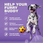 Load image into Gallery viewer, Dog Multivitamin Chews 15-in-1 MSM Hip & Joint Health