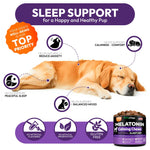 Load image into Gallery viewer, Melatonin Calming Chews for Dogs 170 Chews