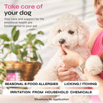 Load image into Gallery viewer, Dog Allergy Relief Chews Dog Itching Skin Relief Anti Itch Skin Health