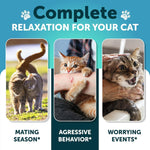 Load image into Gallery viewer, Hemp Calming Treats for Cats & Kittens Anxiety Relief Melatonin