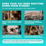 Load image into Gallery viewer, Cat Calming Treats 500 Crunchy Calming Cat Treats with Melatonin for Cats Valerian Root LTheanine Taurine & Probiotics Cat Vitamins and Supplements for Stress Anxiety Relief All Breeds