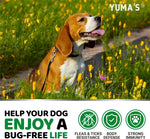 Load image into Gallery viewer, 2 Pack Insects Prevention for Dogs Chewables Natural for All Breeds and Age