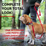 Load image into Gallery viewer, WAUDOG Waterproof Dog Leash 4 Ft 6 Ft Anti Slip Dog Leash for Large Dogs Small and Medium Dogs Heavy Duty Dog Leash with Water and Dirt Resistant Long Or Short Dog Leashes for Boy & Girl Dogs