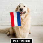 Load image into Gallery viewer, 30 Pack Handheld Netherlands Dutch Stick Flags 12x18 In Printed 150D Polyester