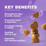 Load image into Gallery viewer, Dog Multivitamin Chews 15-in-1 MSM Hip & Joint Health