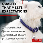 Load image into Gallery viewer, Purple Rolled Leather Dog Collar Padded All Sizes 10–13 in Neck