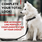 Load image into Gallery viewer, Rolled Leather Dog Leash 4 ft x 0.3 in All Sizes Black