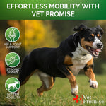 Load image into Gallery viewer, Glucosamine for Dogs 240 Count 2-Pack Hip & Joint Chondroitin