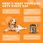 Load image into Gallery viewer, Dog Allergy Relief Chews Itch Relief for Dogs 180 Allergy Chews for Itching Skin with Probiotics, Colostrum, Salmon Oil Allergy, Skin and Coat, Immune, Digestion Support Supplement Hot Spots