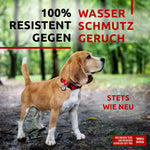 Load image into Gallery viewer, Waterproof Dog Collar Adjustable All Sizes Metal Clasp & QR Tag Red