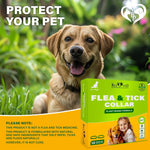 Load image into Gallery viewer, Natural Flea & Tick Collar for Dogs 6 Months Control of Best Prevention & Safe Treatment Anti Fleas and Ticks Essential Oil Repellent (1 Pack 2 Count)