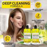Load image into Gallery viewer, Clarifying Shampoo and Conditioner Set Sulfate Free Hair Care Products for Women and Men Build Up Remover for Curly Straight Color Treated Oily and Black Hair Hydrating Dry Split Ends Formula