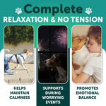 Load image into Gallery viewer, Calming Chews for Dogs 120 Count Anxiety Relief Turmeric & Valerian