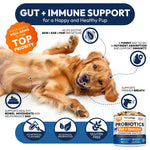 Load image into Gallery viewer, Probiotics for Dogs 170 Chews Digestive Enzymes & Prebiotics Gut Health