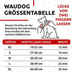 Load image into Gallery viewer, WAUDOG Long Lasting Leather Dog Collar for Large Dogs Medium & Small Dogs