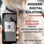 Load image into Gallery viewer, Rolled Leather Dog Collar Padded All Sizes 15–19 in Neck Purple