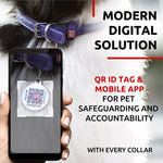 Load image into Gallery viewer, Purple Rolled Leather Dog Collar Padded All Sizes 21–24 in Neck