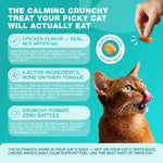 Load image into Gallery viewer, Cat Calming Treats 500 Crunchy Calming Cat Treats with Melatonin for Cats Valerian Root LTheanine Taurine & Probiotics Cat Vitamins and Supplements for Stress Anxiety Relief All Breeds