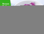 Load image into Gallery viewer, Organic Variety Pack Premium Shirataki Konjac Pasta USDA Organic 100% Plant Based Keto Friendly Zero Net Carb Non GMO Ready to Eat Low Calorie Gluten Free Vegan Diet 6 Pack