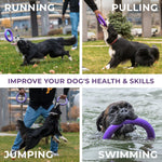 Load image into Gallery viewer, Dog Ring Fetch Toy Medium Dogs MIDI Size 2 Rings