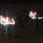 Load image into Gallery viewer, Reflective Dog Vest Hi-Vis XS Size 22.5 in Chest x 15 in Neck Pink
