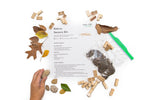 Load image into Gallery viewer, EcoBricks Bamboo Education Set 88pcs